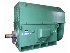 YJTFKK450-4Y系列6KV高压电机